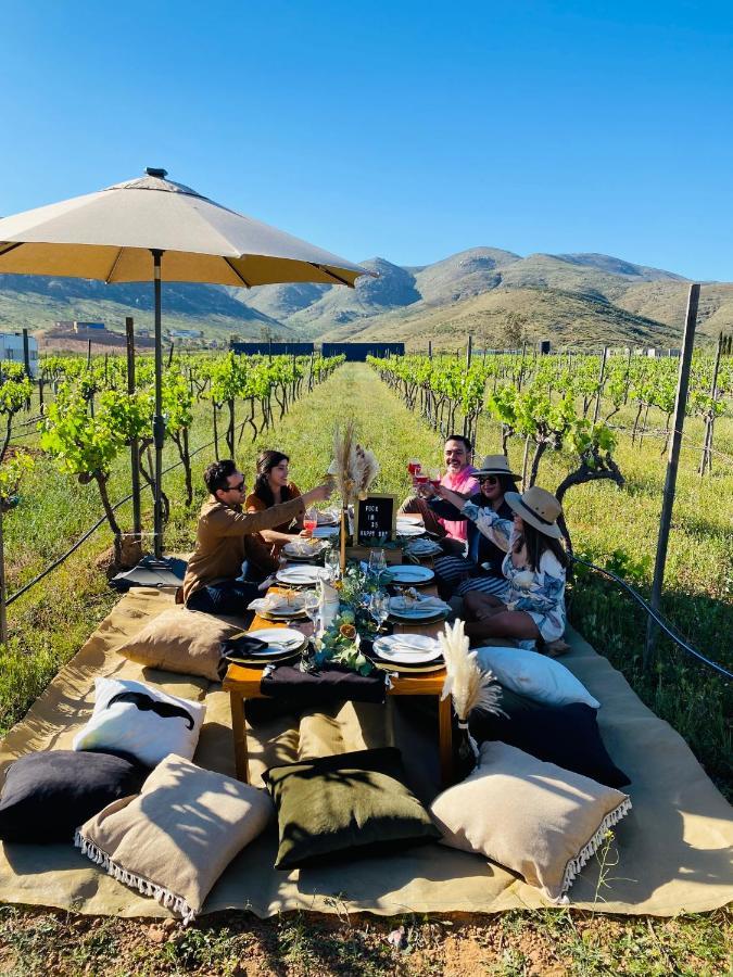 The Pangea Valle De Guadalupe Hotel Ngoại thất bức ảnh