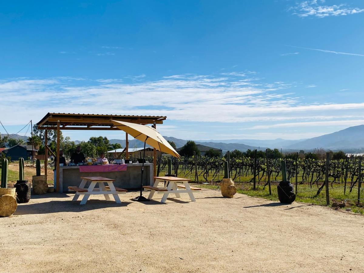 The Pangea Valle De Guadalupe Hotel Ngoại thất bức ảnh