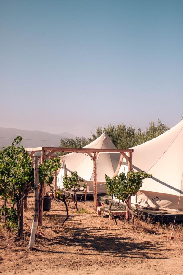 The Pangea Valle De Guadalupe Hotel Ngoại thất bức ảnh